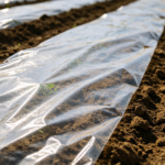 Transparent mulch film used in crop fields for soil warming and moisture retention