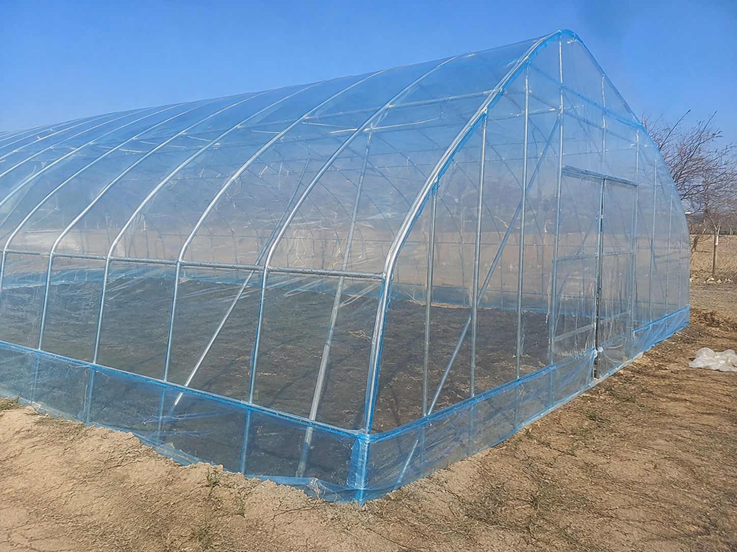 PO Greenhouse Film Image 3