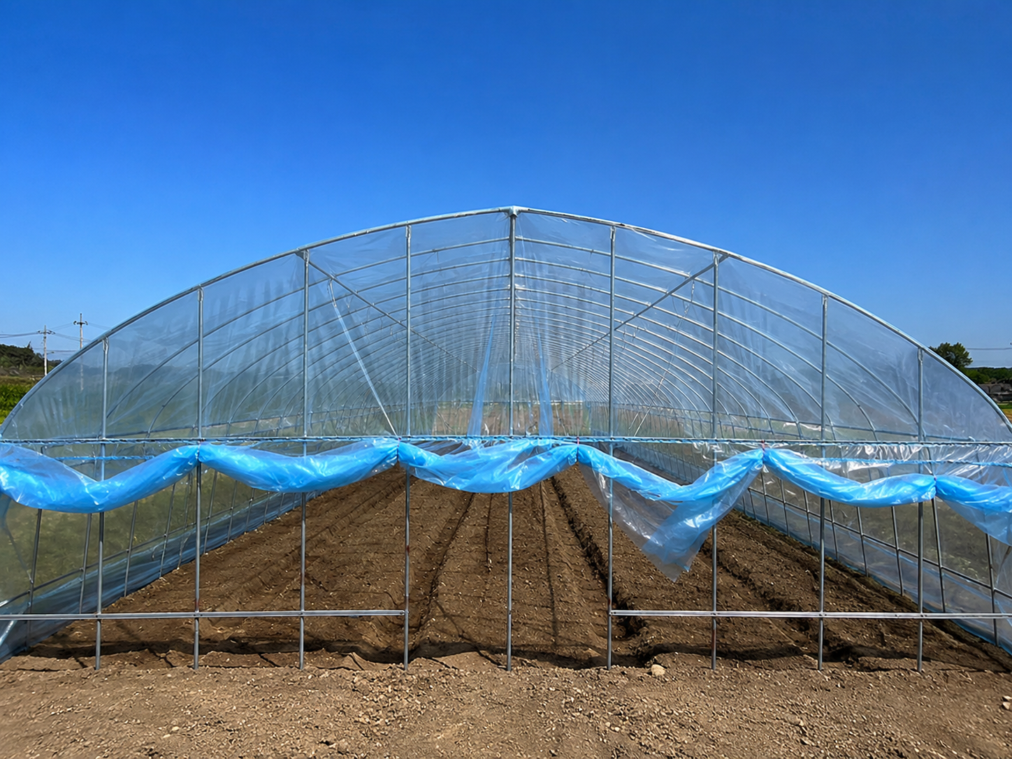 PO Greenhouse Film Image 4