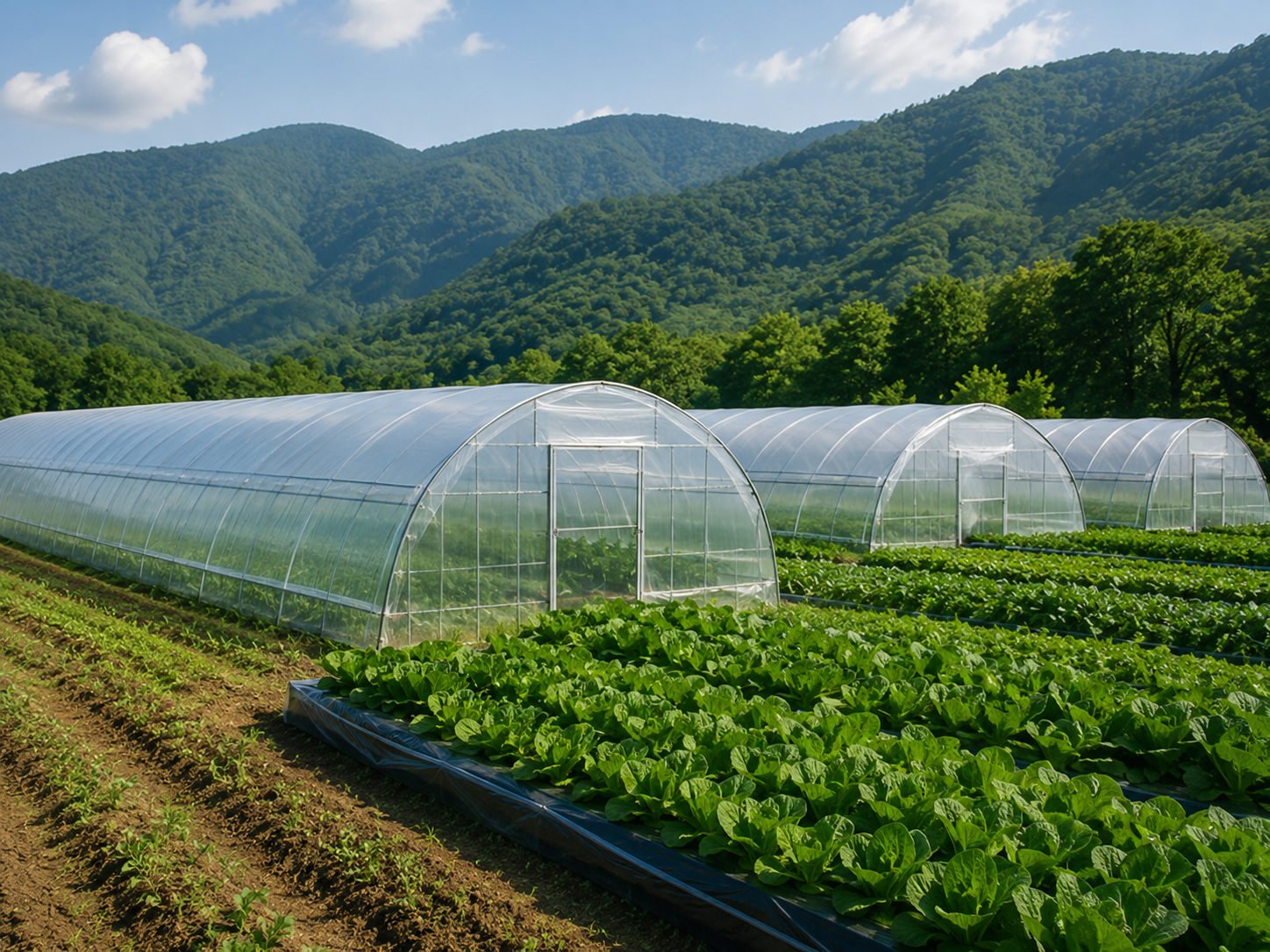 PO Greenhouse Film Image 5