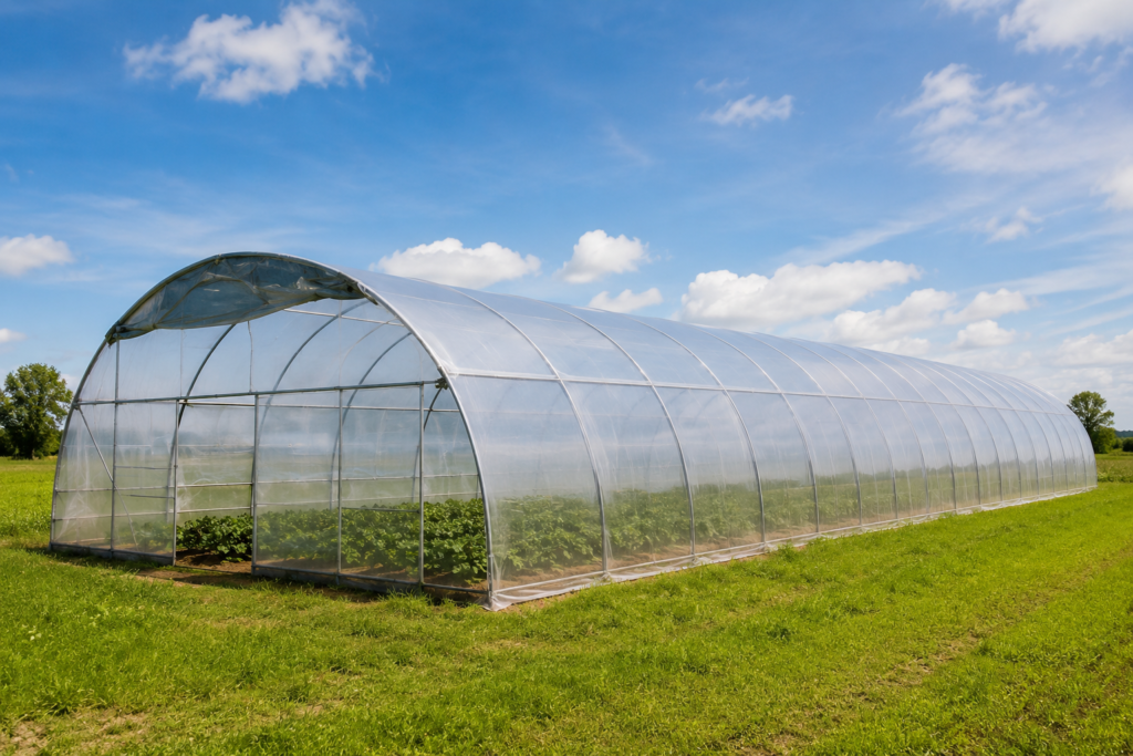 White greenhouse film covering a tunnel greenhouse to diffuse light and reduce heat for crop growing