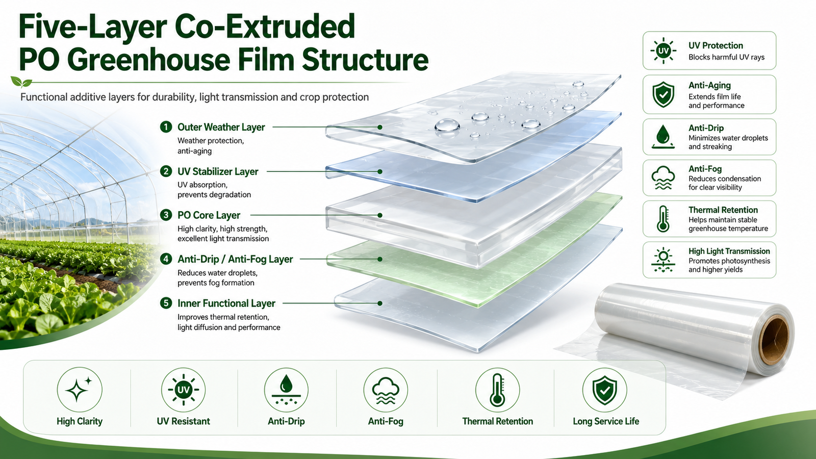 Five-layer co-extruded PO greenhouse film structure with functional additive layers