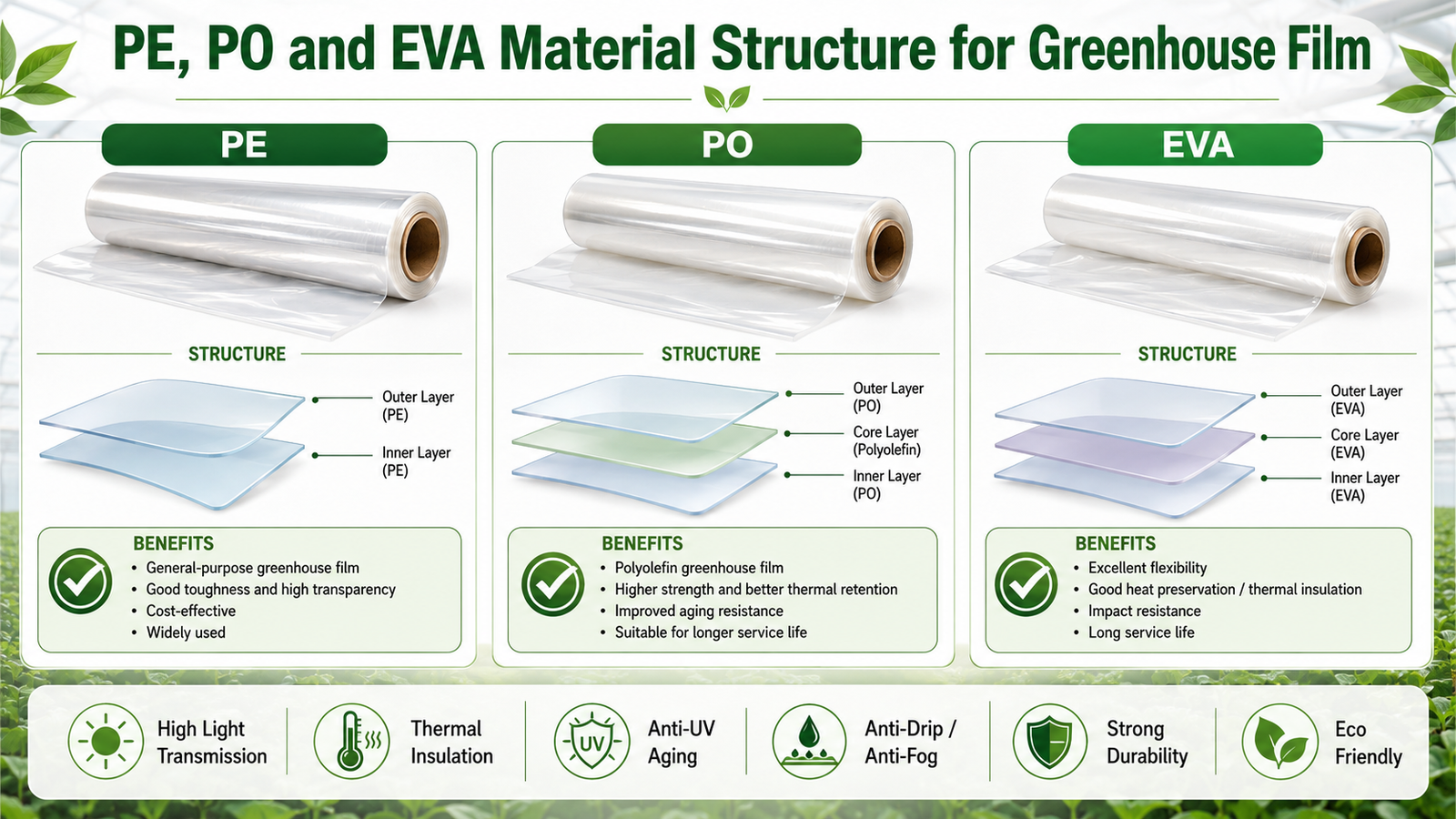 Ordinary plastic sheeting compared with UV stabilized greenhouse film