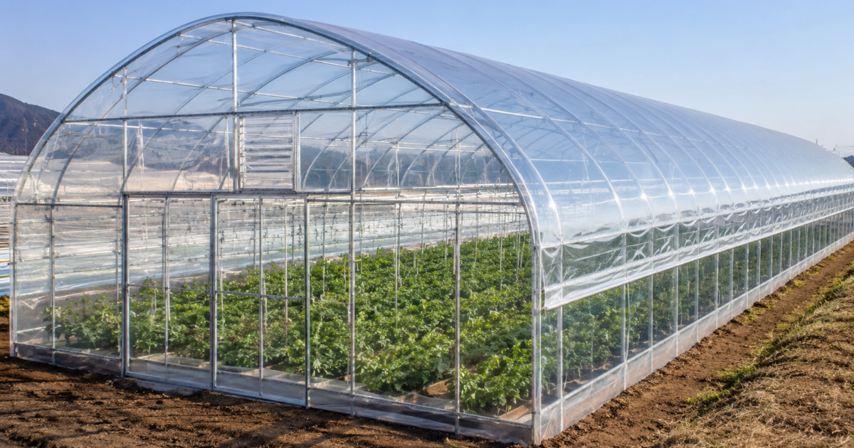Clear greenhouse film covering a commercial greenhouse with healthy crops inside