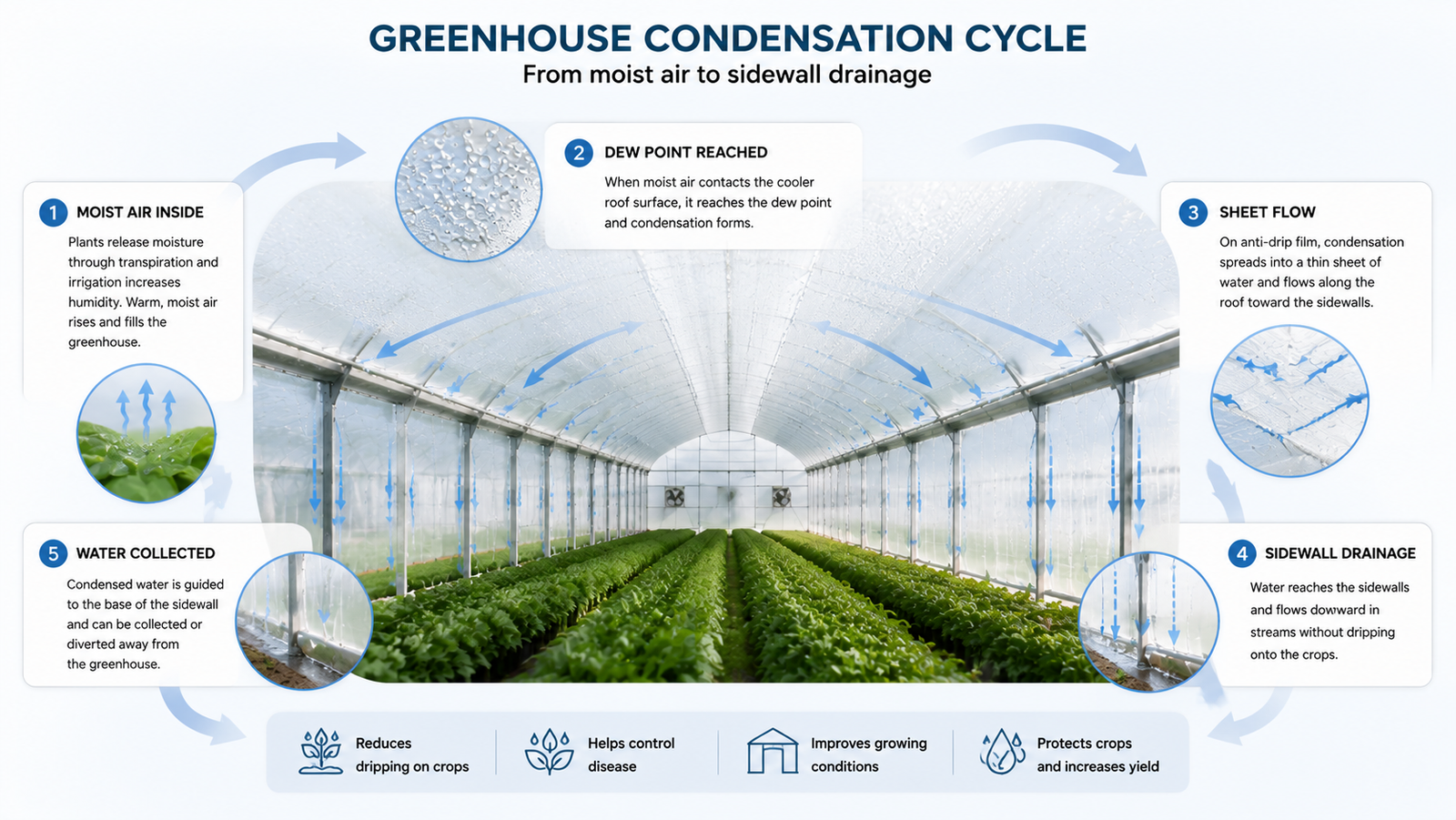 Greenhouse condensation cycle showing moist air dew point roof condensation sheet flow and sidewall drainage