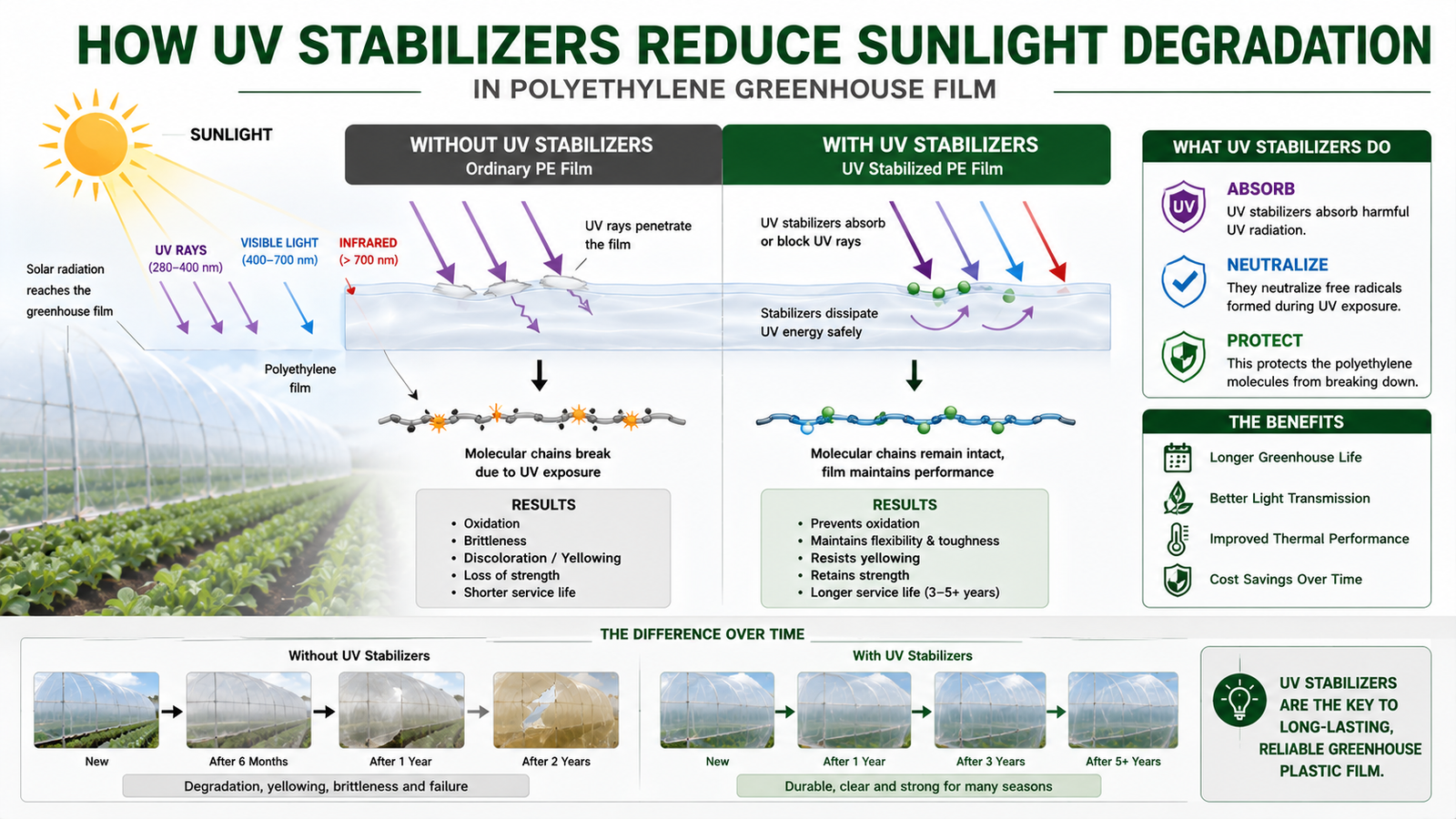 Diagram explaining how UV stabilizers reduce sunlight degradation in polyethylene greenhouse film