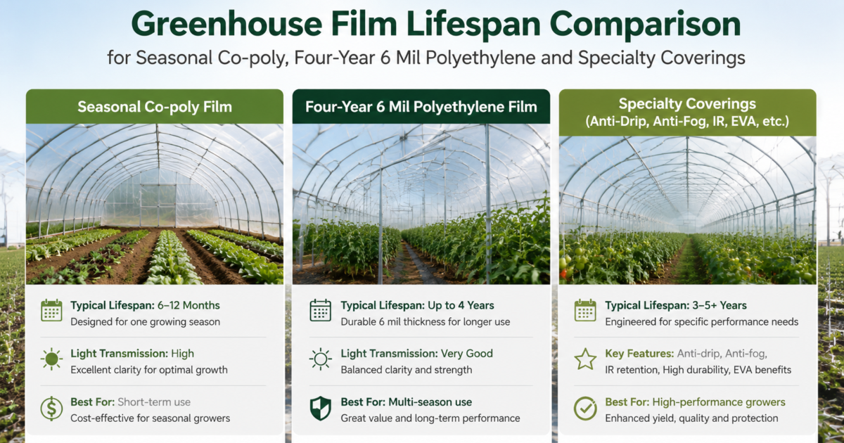 Greenhouse film lifespan comparison for seasonal co-poly, four-year 6 mil polyethylene and specialty coverings