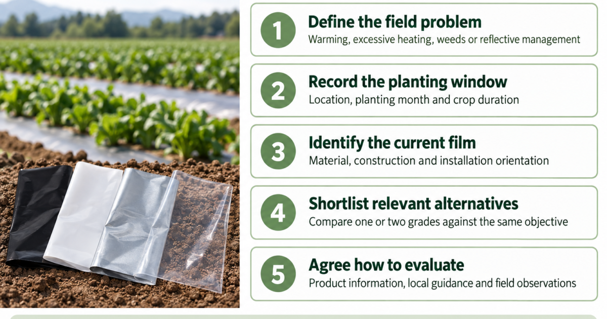 Five-step mulch film selection checklist covering field objectives, planting dates, current film, alternatives and evaluation.