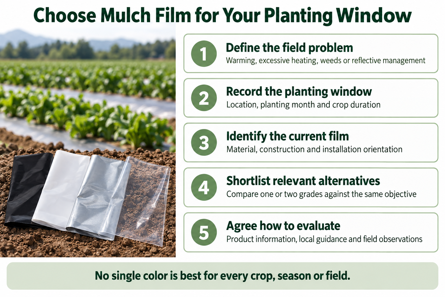 Five-step mulch film selection checklist covering field objectives, planting dates, current film, alternatives and evaluation.